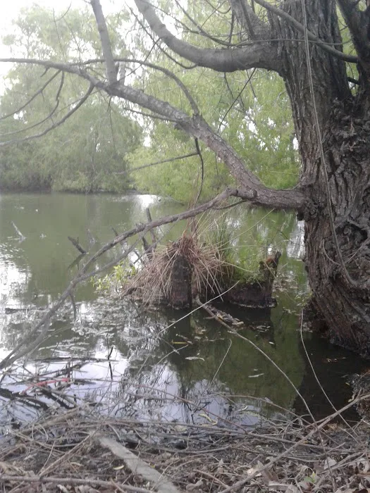 Laboulaie RV Park Picture 5