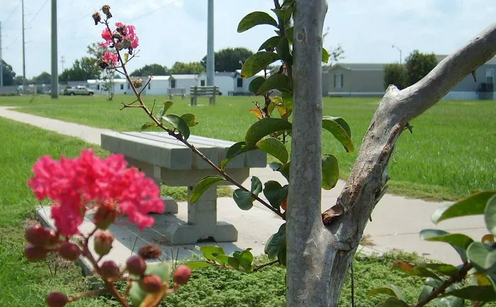 Potpourri Village Picture 6