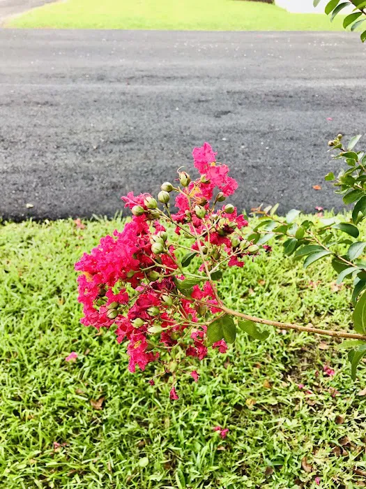 Potpourri Village Picture 7