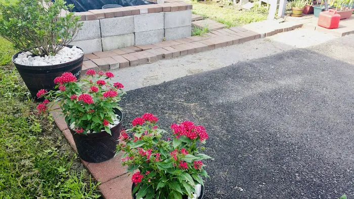 Potpourri Village Picture 8