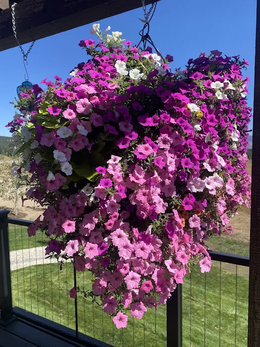 Lafayette Oaks Picture 2