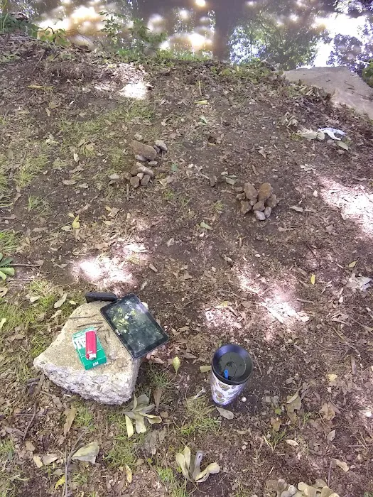 Lafayette Oaks Picture 6