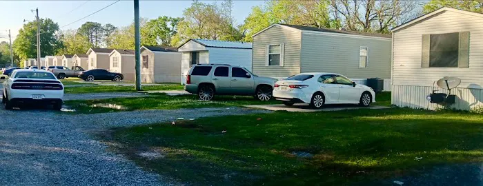 Iberia Oaks Picture 1