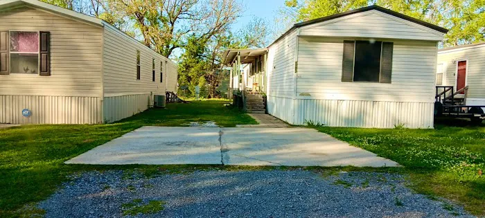 Iberia Oaks Picture 2