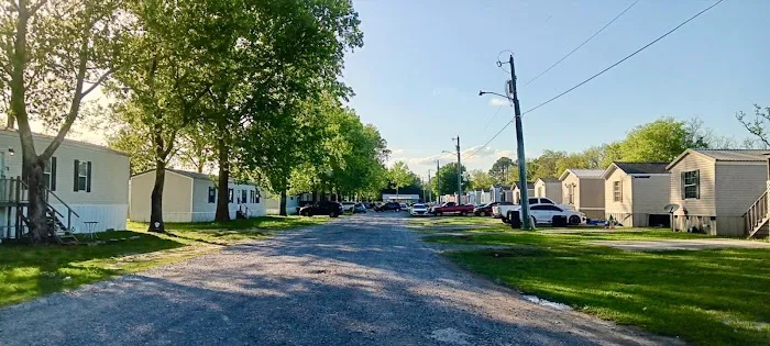 Iberia Oaks Picture 3