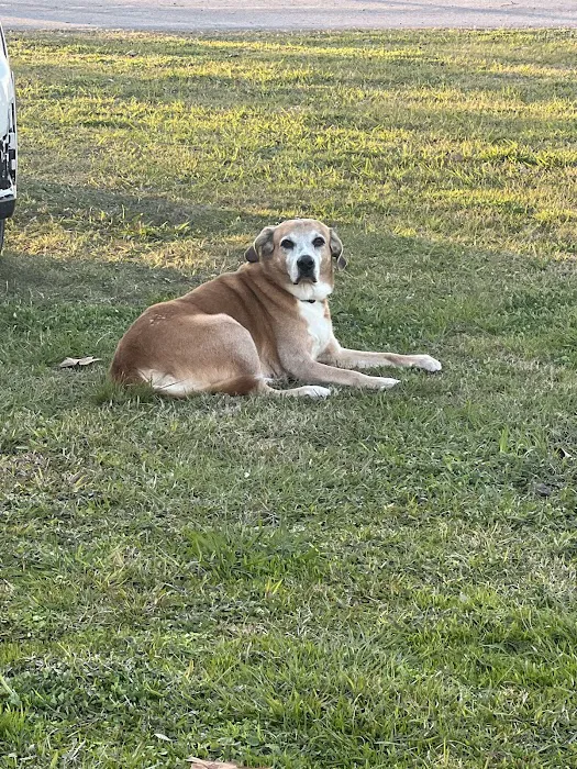 Weeks Island RV Park Picture 5