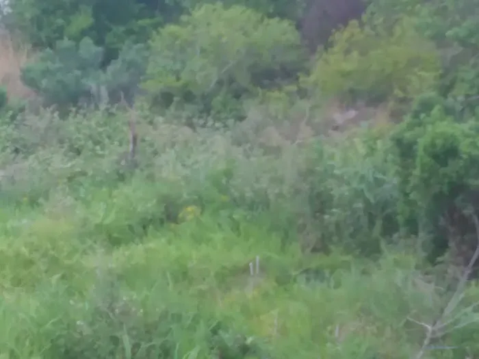 Eagle RV Park Picture 4