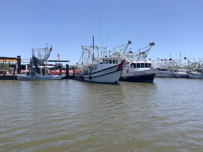 Swampman RV Paradise LLC Picture 5