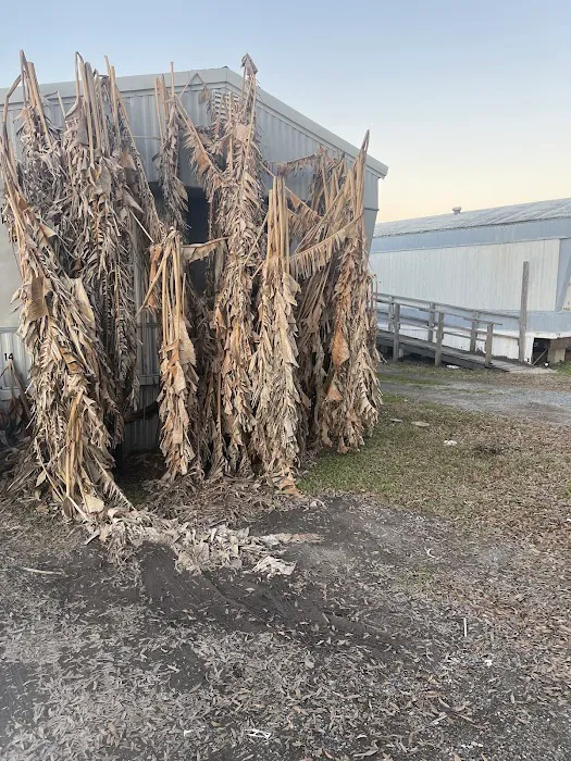 Duncan Heights Picture 2