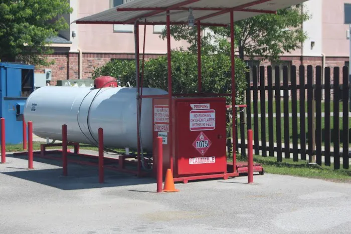 Frog City RV Park Picture 8