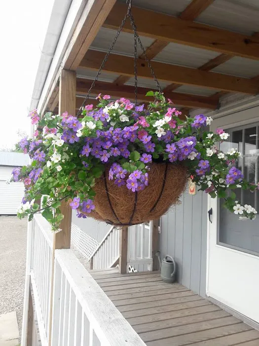 Frog City RV Park Picture 9