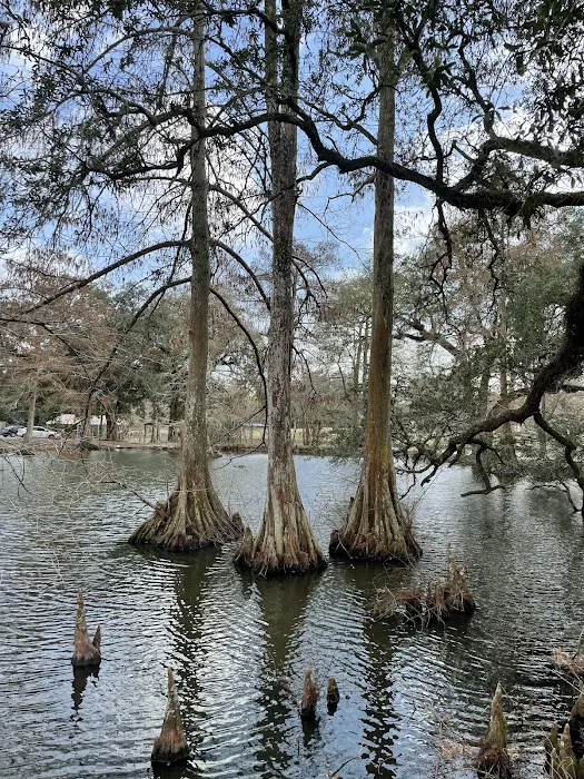 Spanish Lake RV Park Picture 6