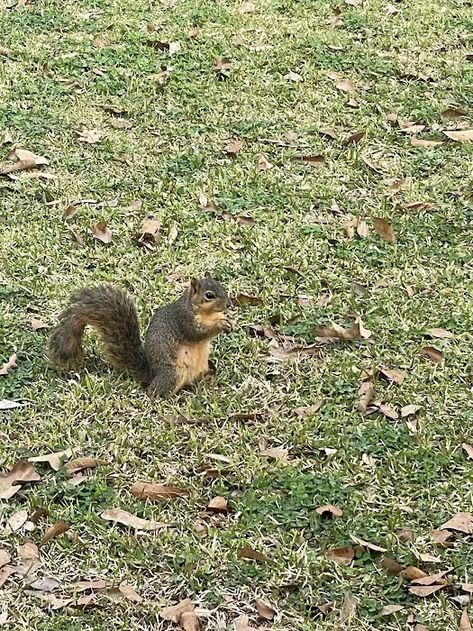 Spanish Lake RV Park Picture 10