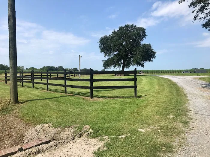 Oak Village RV Park and Campground Picture 9