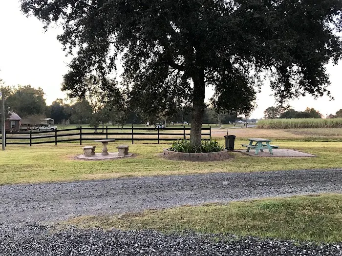 Oak Village RV Park and Campground Picture 8