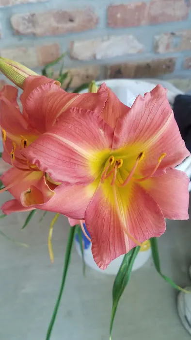 Southland Mobile Home Park, LLC Picture 4