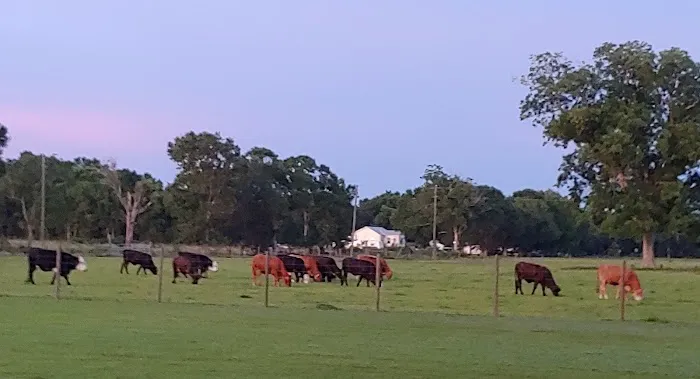 Audubon Acres RV Park Picture 1