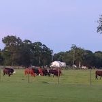 Audubon Acres RV Park