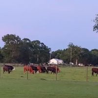 Audubon Acres RV Park ico