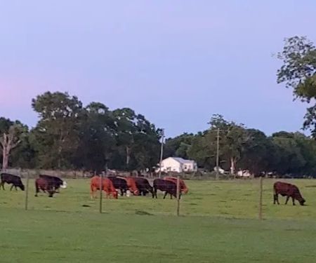 Audubon Acres RV Park