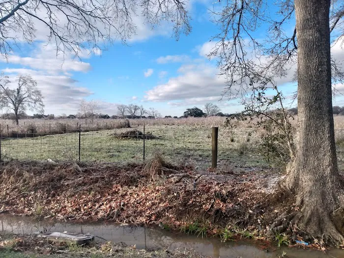 Audubon Acres RV Park Picture 2