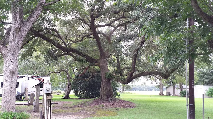 Audubon Acres RV Park Picture 4