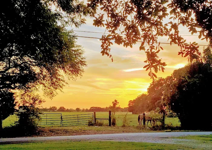 Audubon Acres RV Park Picture 6