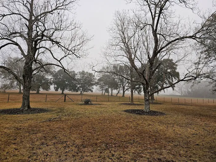 Audubon Acres RV Park Picture 7