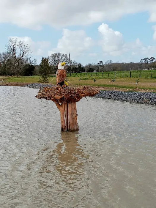 J & L Mobile Home Park Picture 3