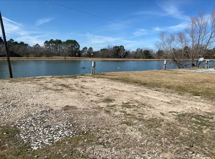 Cajun Haven RV Park Picture 6