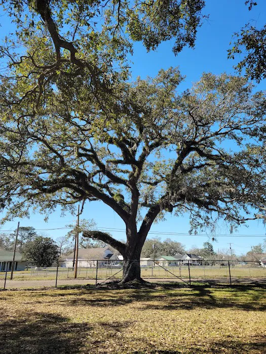 Cypress Estates Manufactured Home Community Picture 10