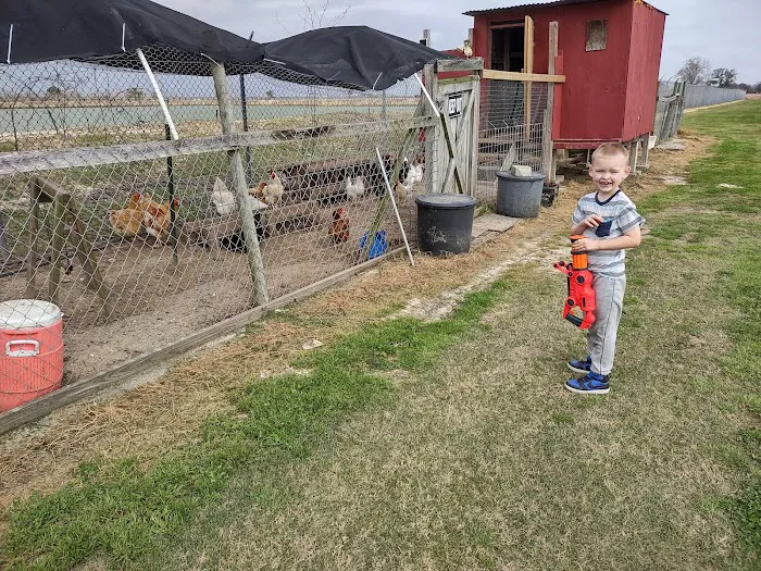 Sonnier Parkside Village Picture 7