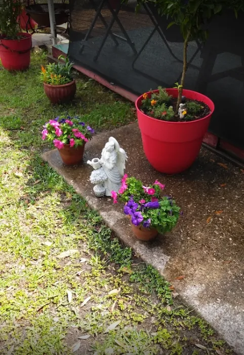 La Maison Des Chenes & Mermentau RV Park Picture 4