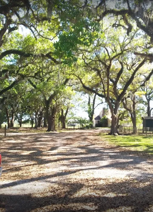 La Maison Des Chenes & Mermentau RV Park Picture 7