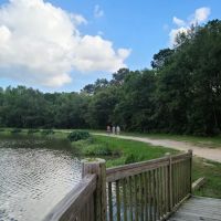 Lakeview Park & Beach ico