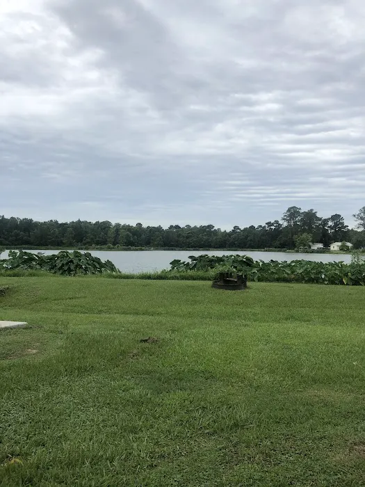 Lakeview Park & Beach Picture 5