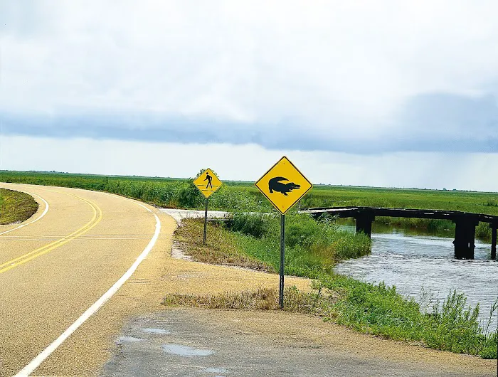 Lost Shoe RV Park Picture 4