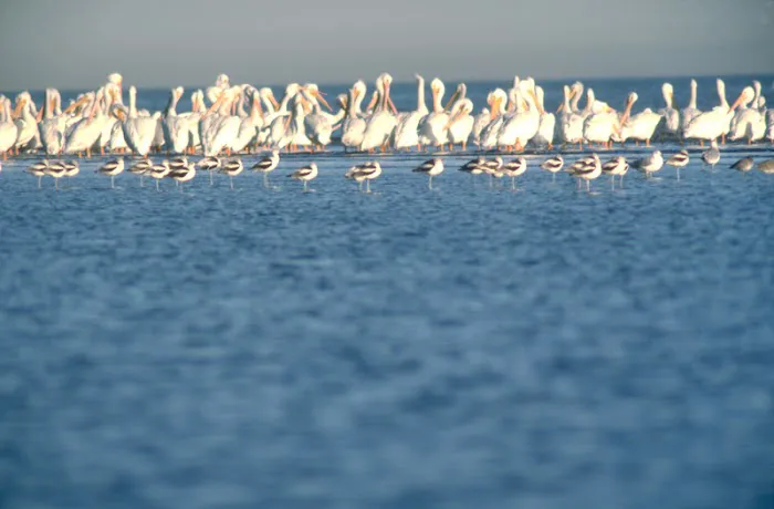 Lost Shoe RV Park Picture 3