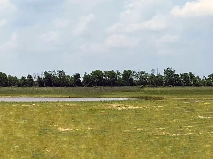 Lost Shoe RV Park Picture 7