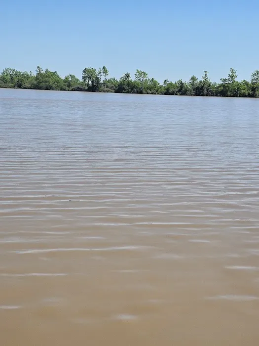 MYERS LANDING RV PARK Picture 6