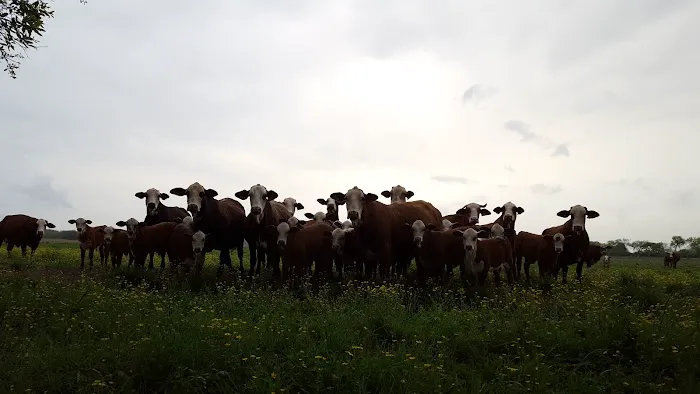 MYERS LANDING RV PARK Picture 7