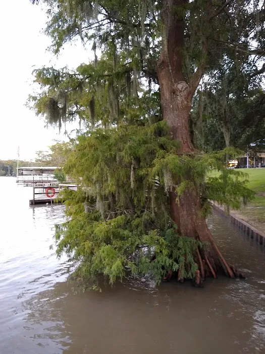 MYERS LANDING RV PARK Picture 9