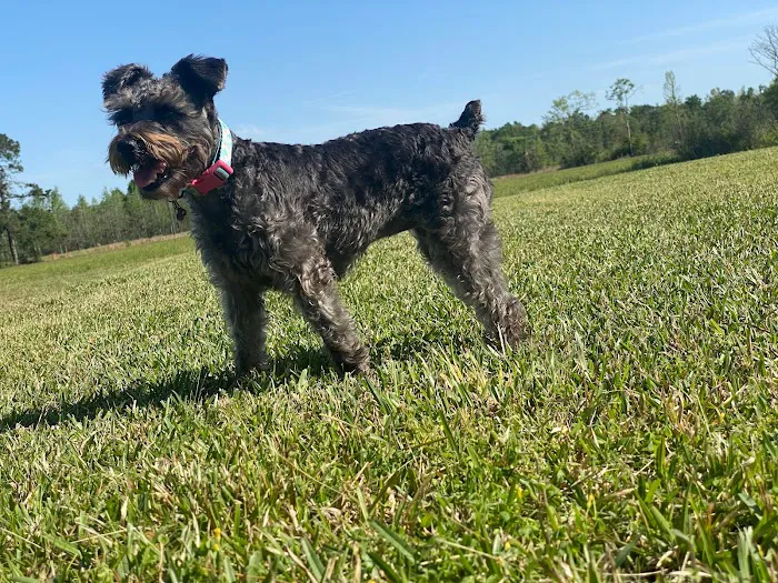 Quiet Oaks RV Park Picture 2