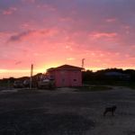 Island House RV Park