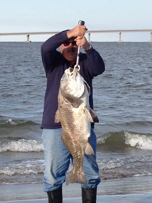 Island House RV Park Picture 9