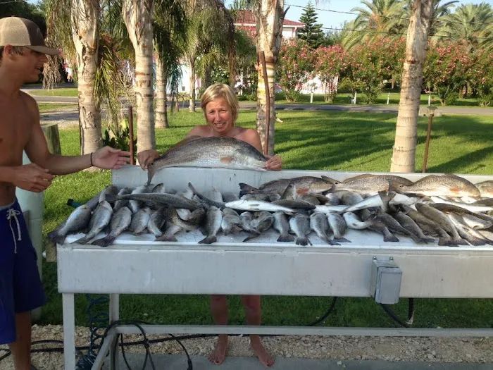 Island House RV Park Picture 7