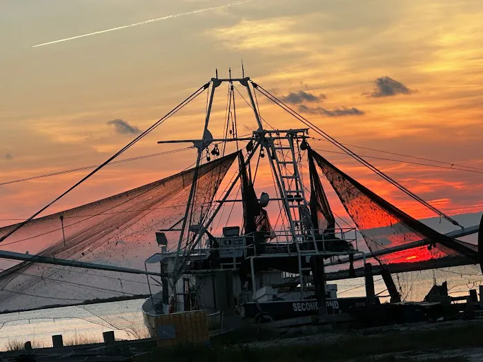 Island Palms RV Park Picture 2