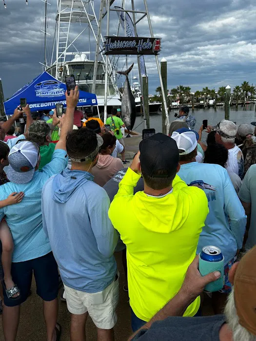 Island Palms RV Park Picture 8