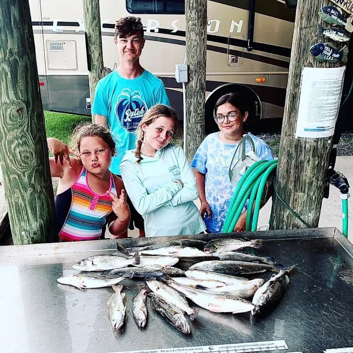 Island Palms RV Park Picture 7