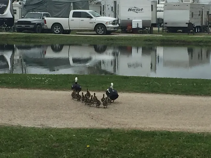 I-10 RV RESORT & Mobile Home Park Picture 9